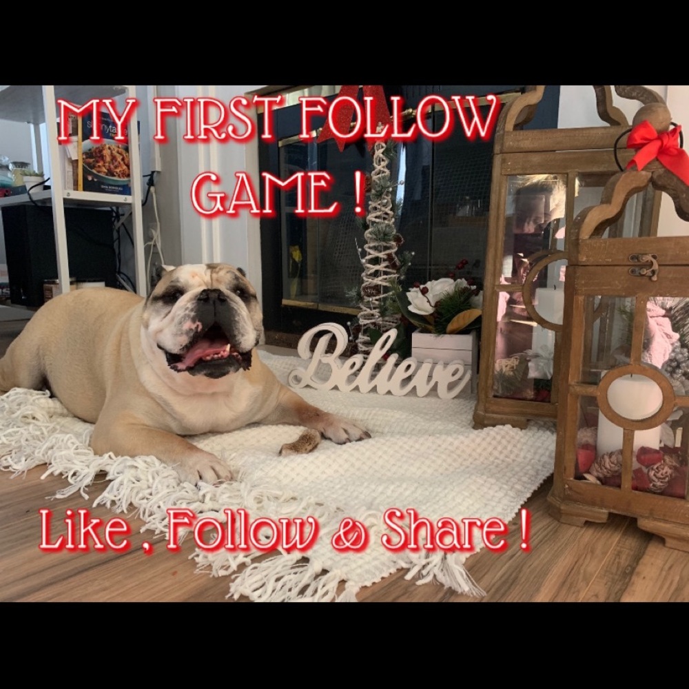 GAIN 20,000 FOLLOWERS FAST !